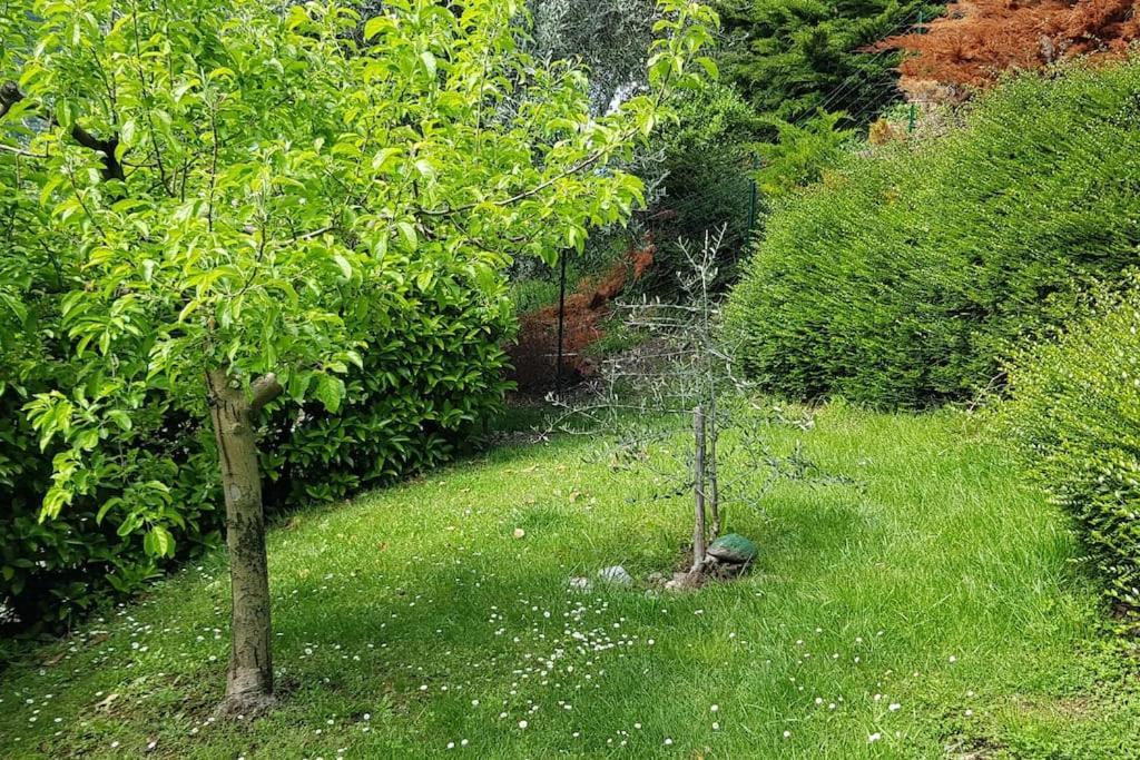 Iseolakerental - Casa Rododendro Sulzano Buitenkant foto